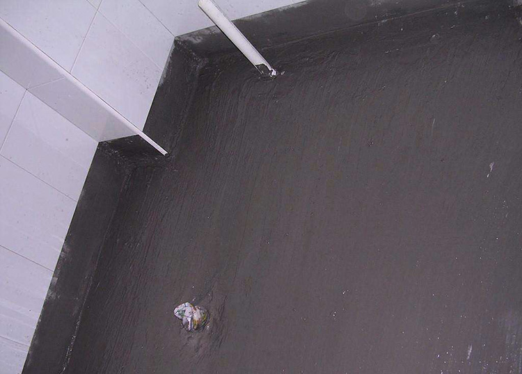 564545.jpg